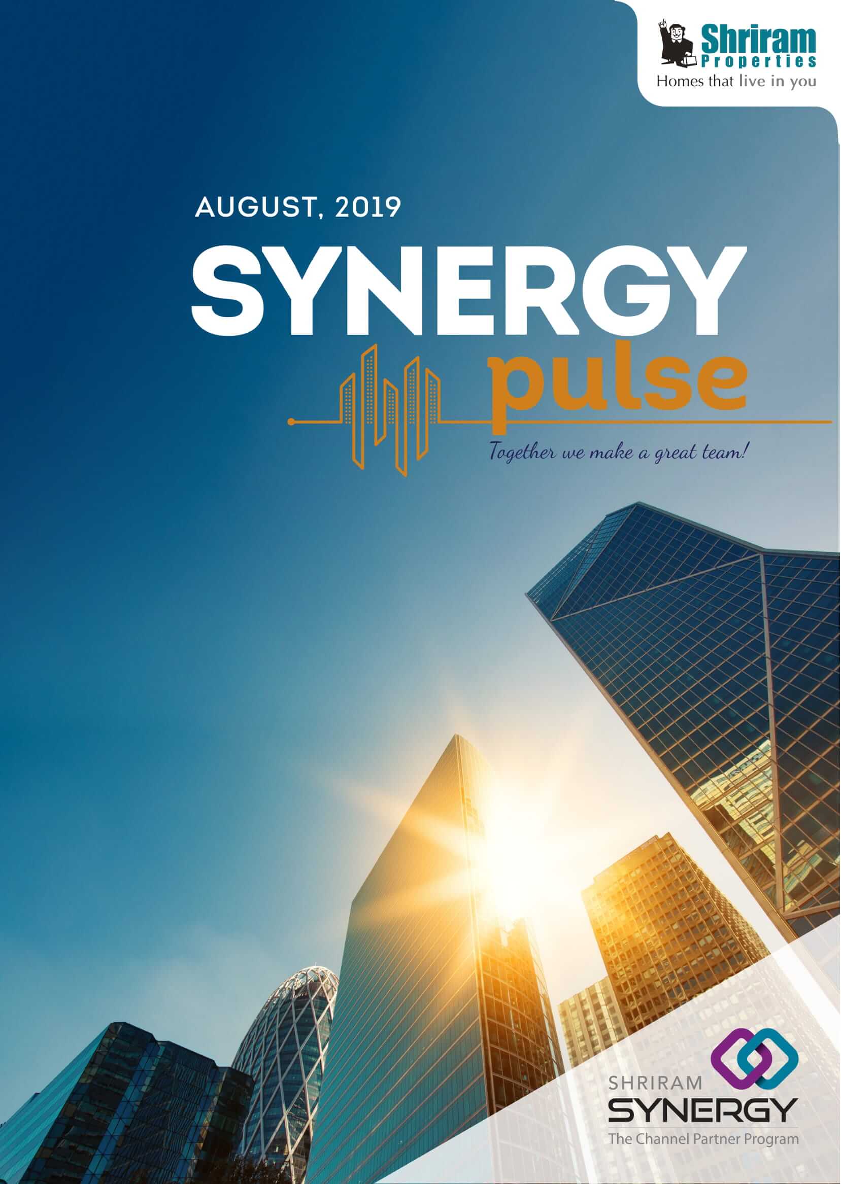 Synergy newsletter